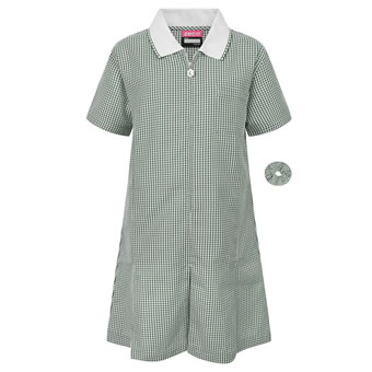 green gingham school dress